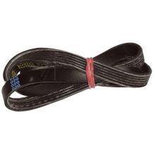 Poly-v-riemen Waschmaschine 481281728295