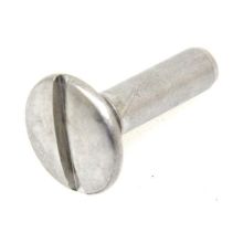 Schraube,scharnier Waschmaschine 292489200