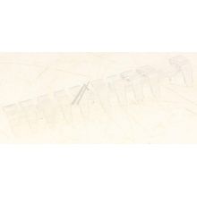 Lichfuerer Geschirrspüler 41046603