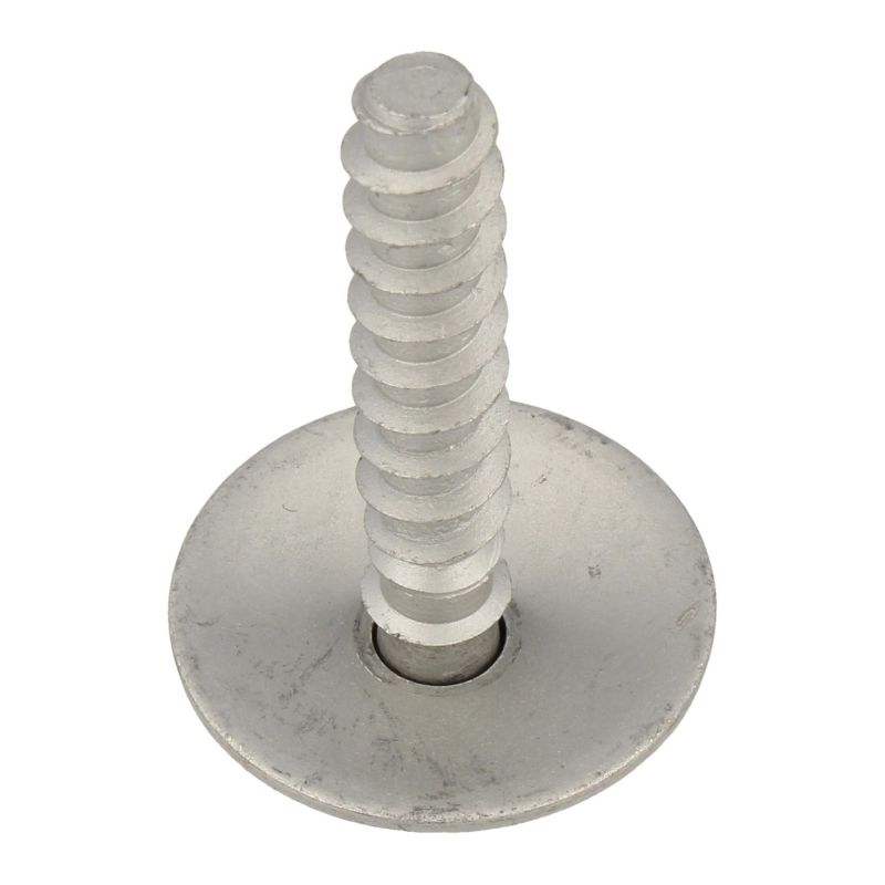 Vite (Anteriore) C00194611 Lavatrice INDESIT,HOTPOINT,WHIRLPOOL