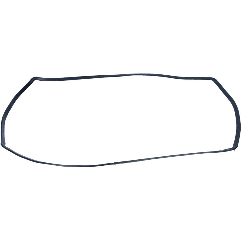 Guarnizione Porta 5511810138 Microonde DE LONGHI