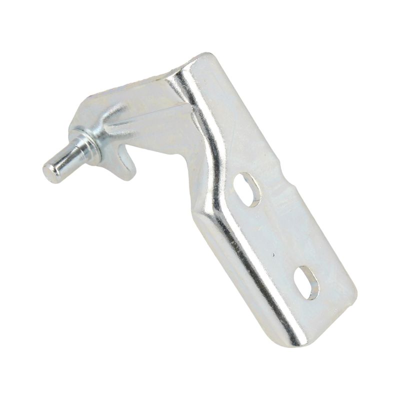 Cerniera Centrale Zincata C00272430 Frigorifero HOTPOINT - ARISTON,...