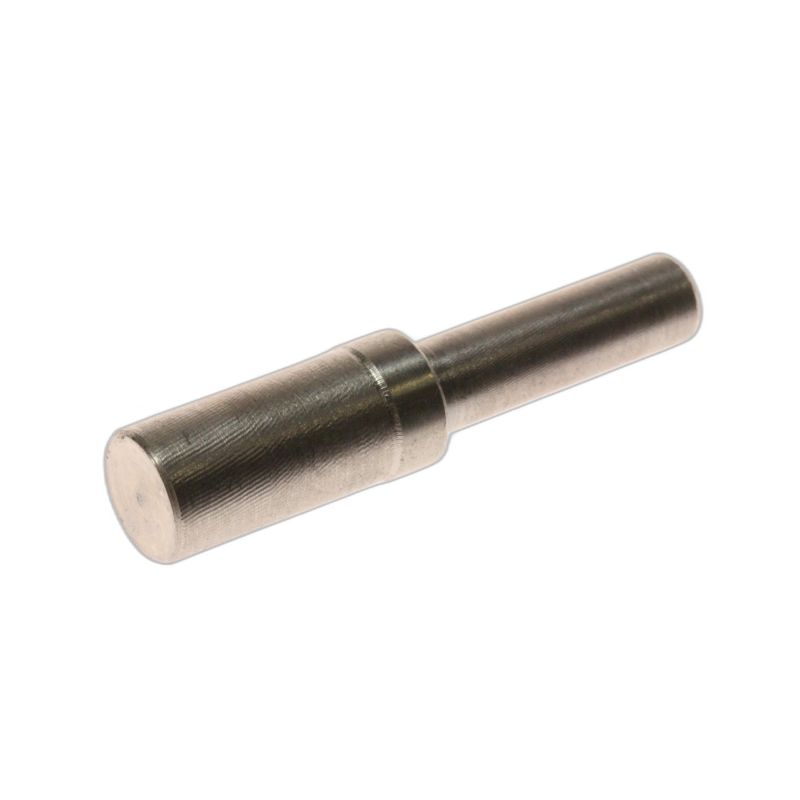 Perno Cerniera 175550461 Frigorifero SMEG