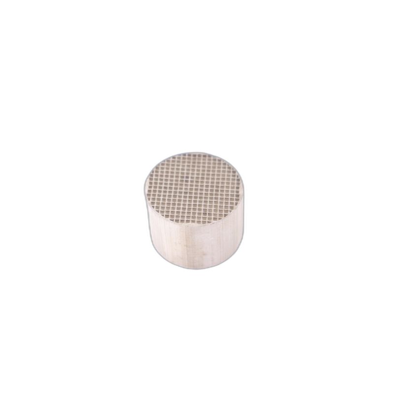 Catalizzatore Per Forno 761190001 Forno SMEG