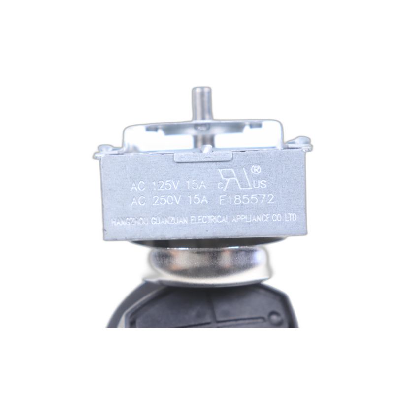 Timer 973-974 Per Fornetto AT6256026800 Microonde ARIETE