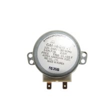 Motor Mikrowelle 49019166