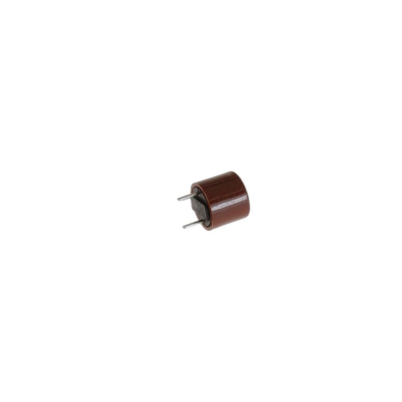 Fusibile T250ma 481225338001 Microonde WHIRLPOOL