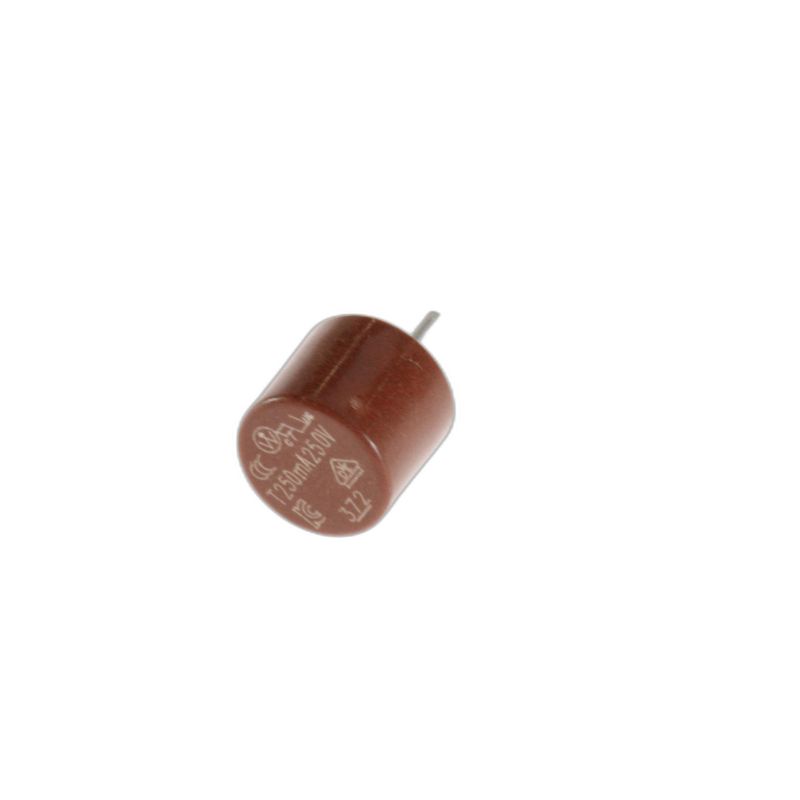 Fusibile T250ma 481225338001 Microonde WHIRLPOOL