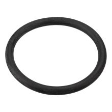 O-ring Waschmaschine 5490120200