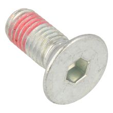 Schrauben Riemenscheibe Torx Waschmaschine 5191370260