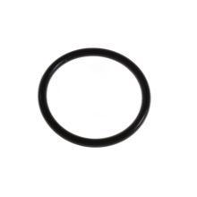 O-ring Geschirrspüler 481253268111