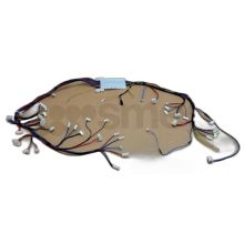 Cablaggio Per Lavastoviglie 820732808 Lavastoviglie SMEG