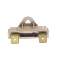 Fusibile 481925228092 Forno BAUKNECHT