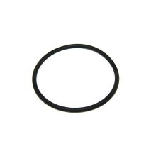 Dichtungsring Geschirrspüler 481253058141