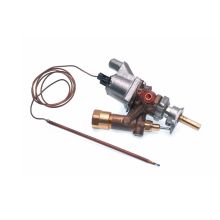 Thermostat 2 Wegic X Zaum Methan Backofen C00040905