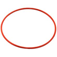 Delonghi O-ringe - Dichtring Dampfbügelstation 7312873759