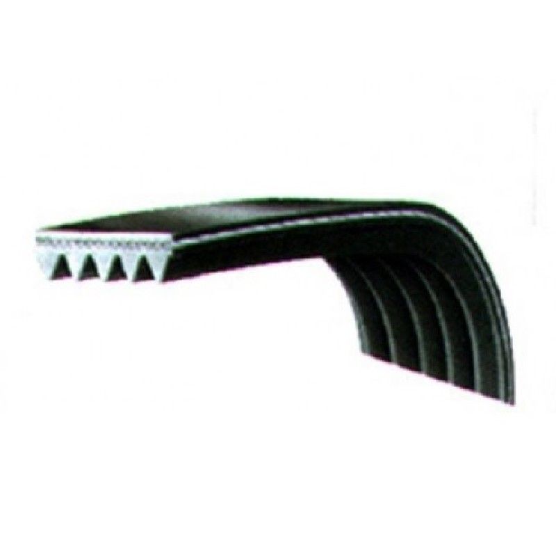 Cinghia 1089 J4 04AG501 Lavatrice SAN GIORGIO