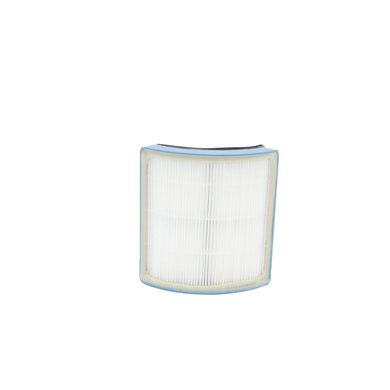 Filtro Hepa 5519211291 Aspirapolvere DE LONGHI