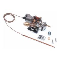 Elektrothermostat Ventil 1 Weg Grill Elektrisch `star` Backofen C00056100