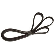 1975h7 Poly-v Riemen /rippenband Waschmaschine 429478