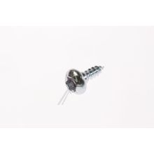 Screw-special;ph,torx,,m4,l10,pass Waschmaschine SAMSUNG WW80K52A0VWEG
