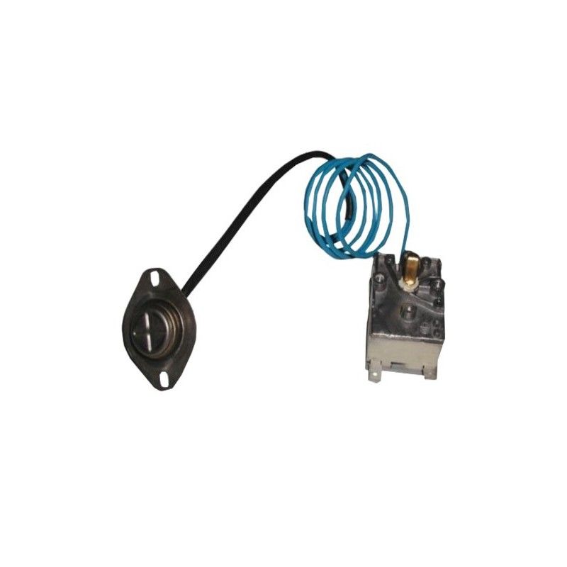 Termostato Regolabile 481928248313 Lavatrice WHIRLPOOL