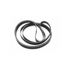 Antriebsriemen Waschmaschine 481935818143